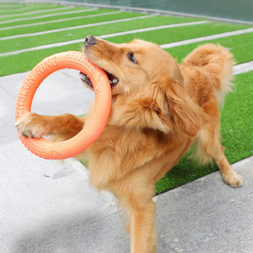 Snuffle Mat For Dogs - Anneau d'entraînement pour chiens, disque volant