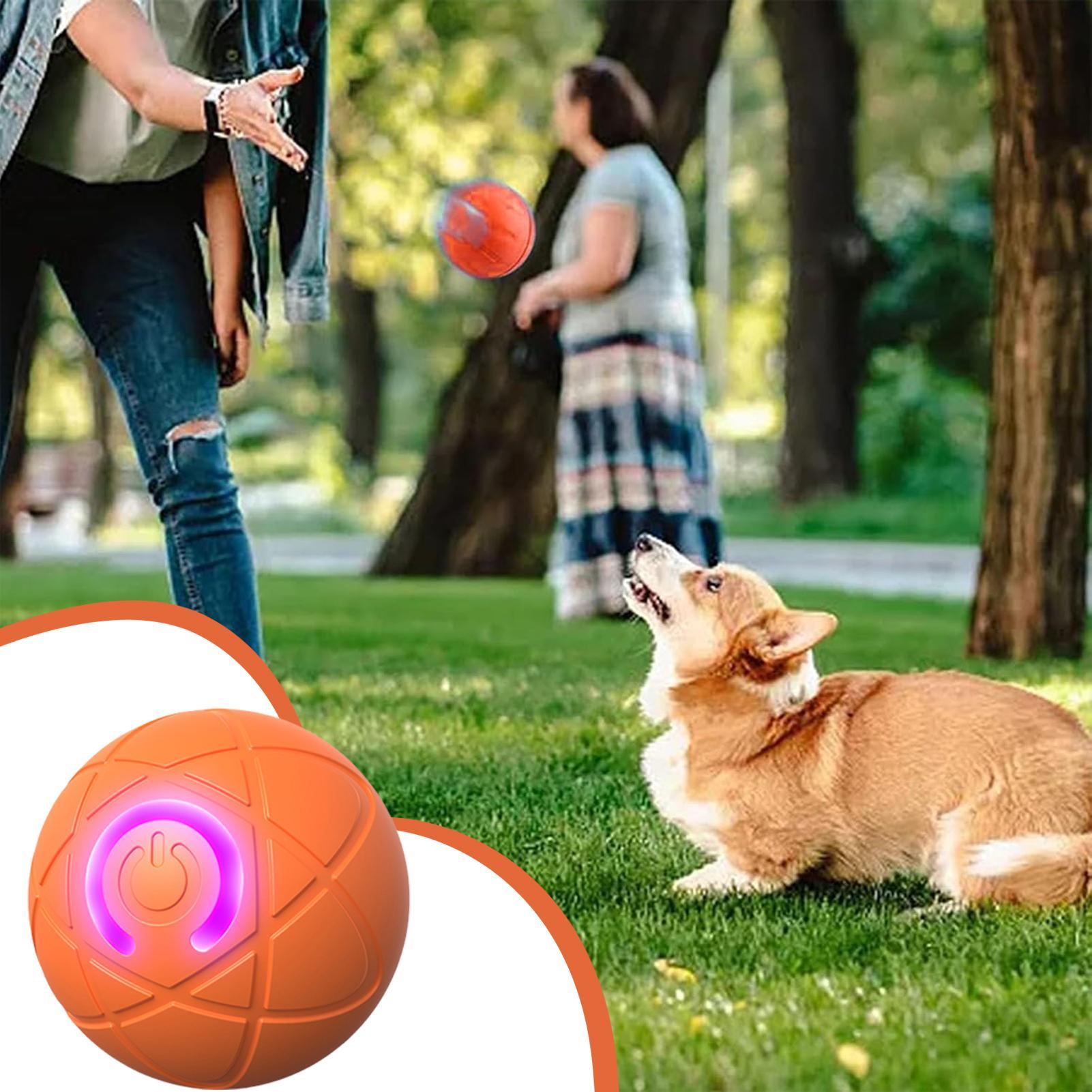 Automatic Moving Dog Ball - Jouets interactifs intelligents pour chiens, pour