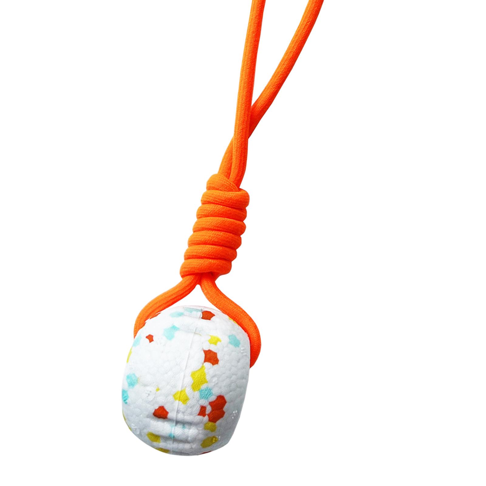 Dog Rope Toy Aggressive Chewers - Jouet de balle pour chien en