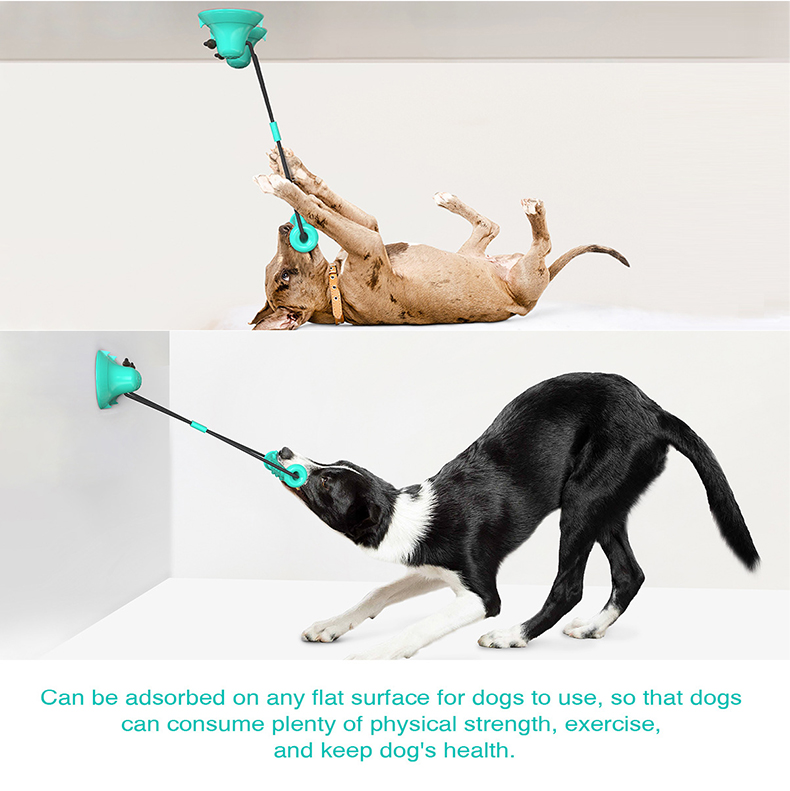Suction Cup Dog Tug Toy - Jouet à mâcher pour chien avec