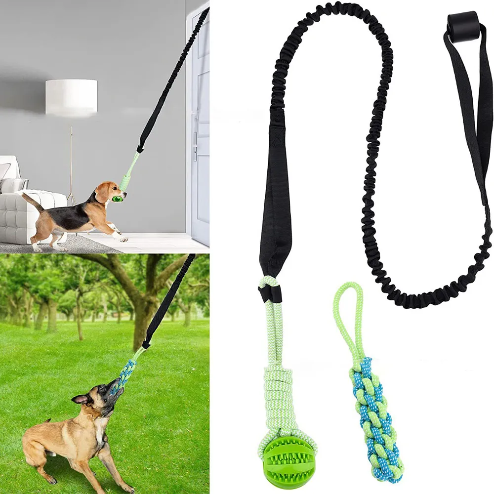 Suction Cup Dog Tug Toy - Jouet interactif pour chien, remorqueur de