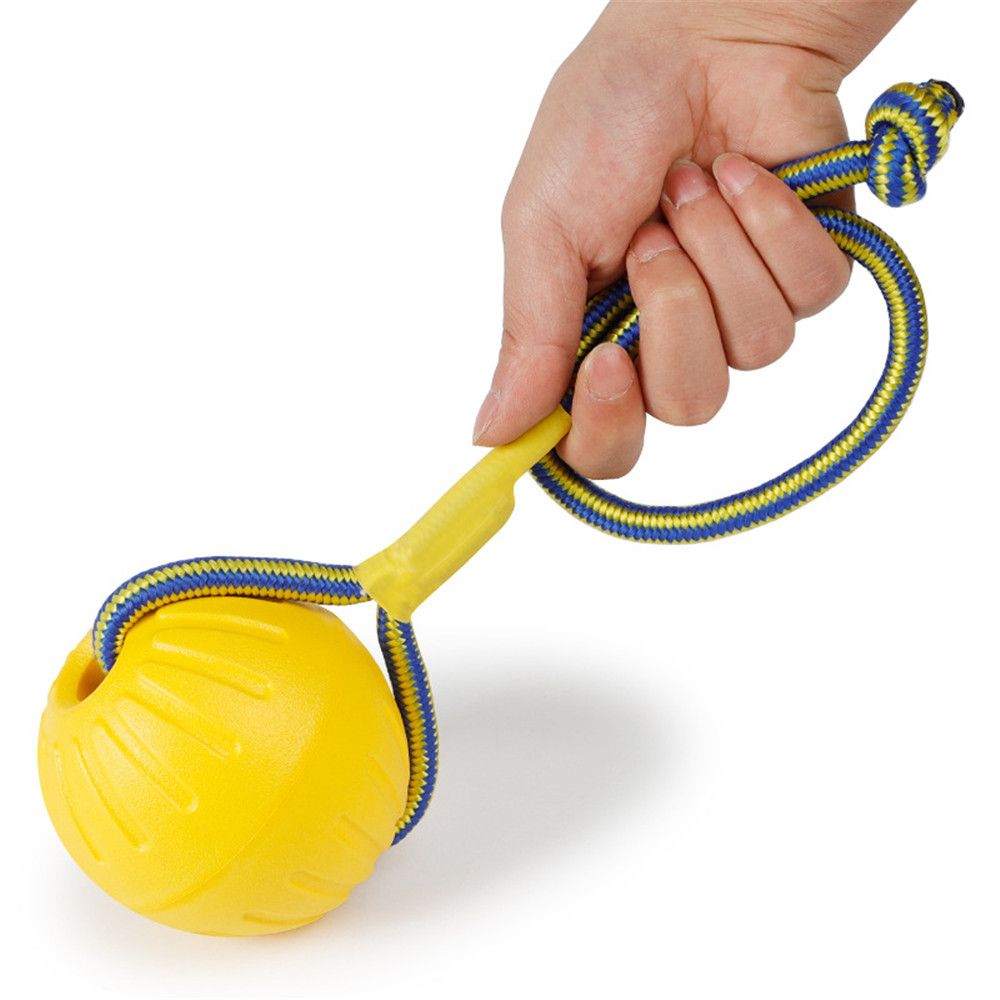Balle en caoutchouc indestruct - Suction Cup Dog Tug Toy avis et prix