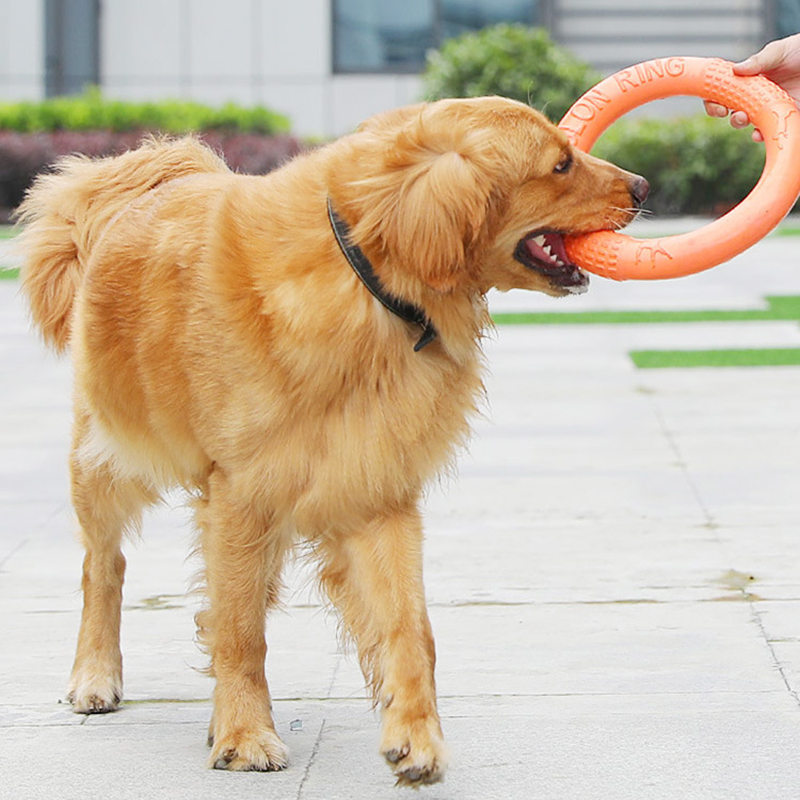 Anneau d'entraînement pour chi - Snuffle Mat For Dogs avis et prix