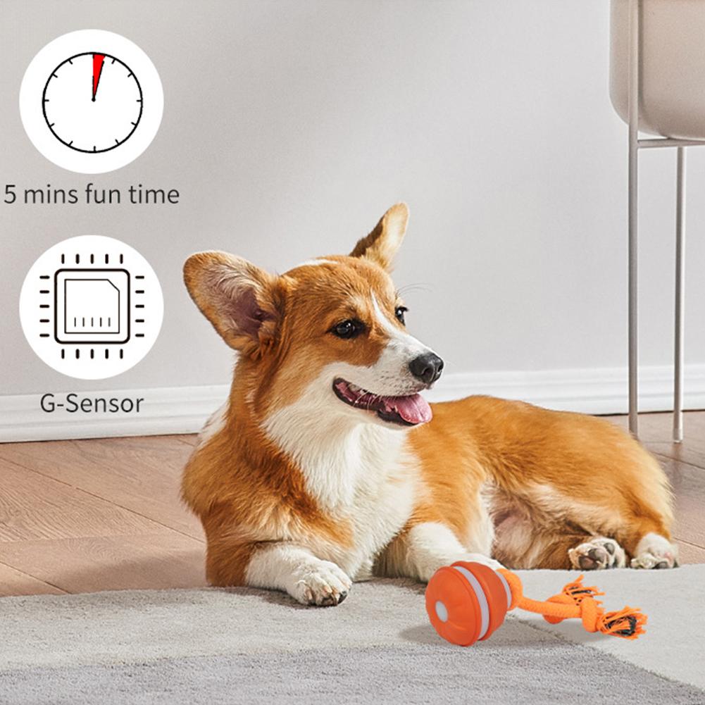 Balle pour animaux de compagni - Automatic Moving Dog Ball avis et prix