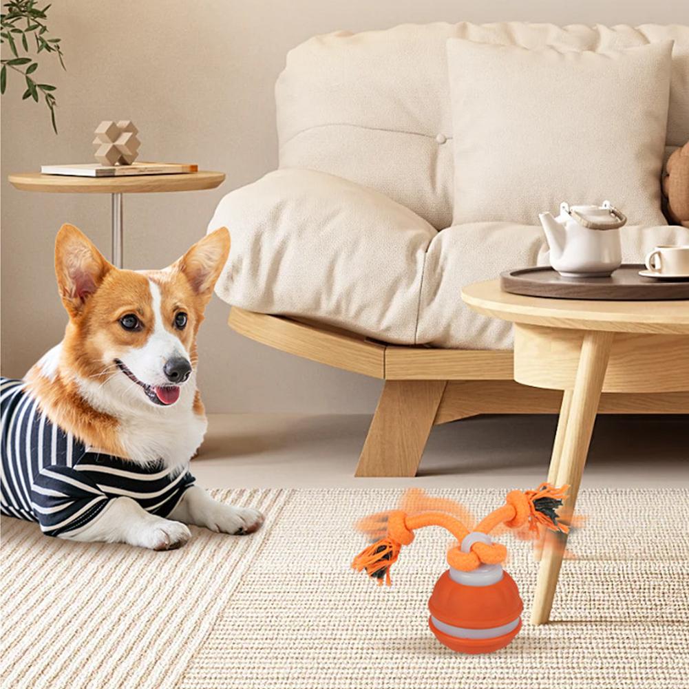 Balle pour animaux de compagni - Automatic Moving Dog Ball avis et prix
