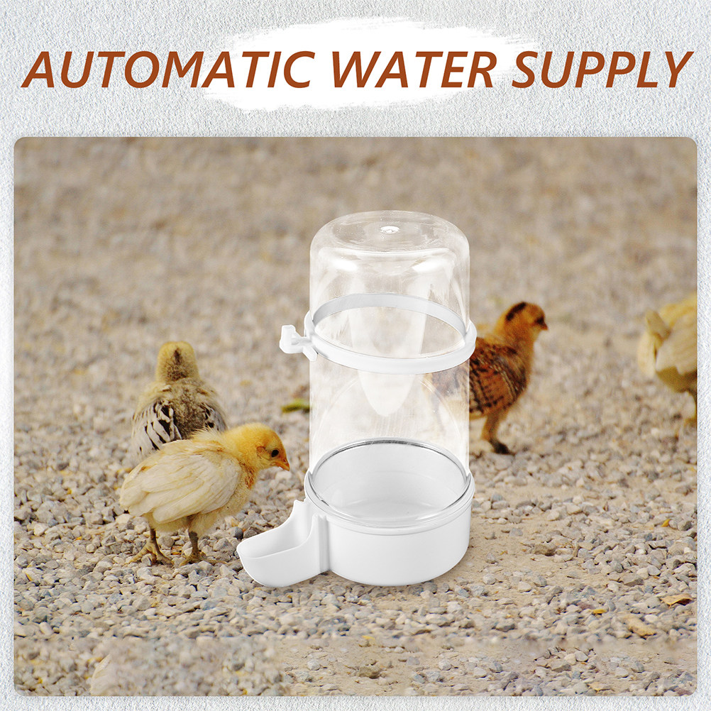 4 pièces, distributeur d'eau a - Pet Feeders avis et prix