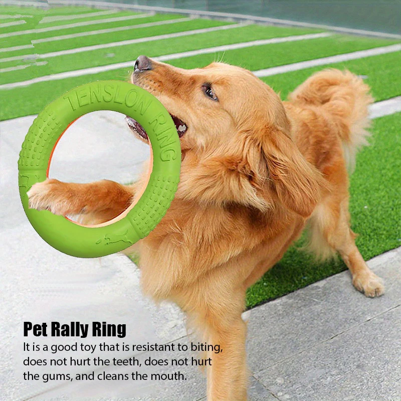 Jouets d'entraînement pour chi - Flying Disc Dog Training Toy avis et prix