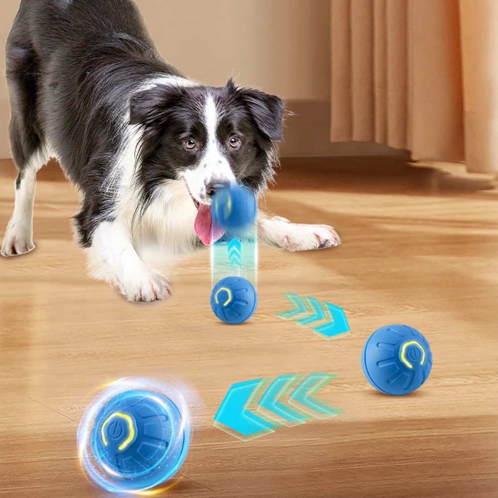 Nouveau 1pc automatique mobile - Automatic Moving Dog Ball avis et prix