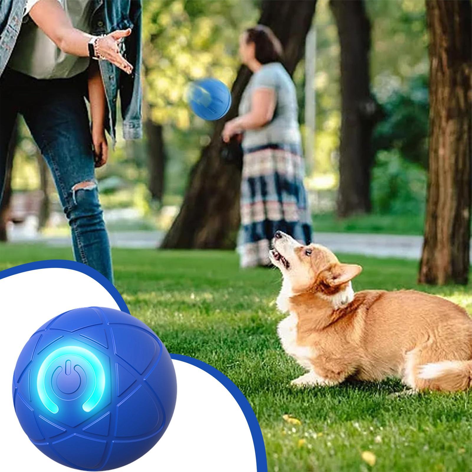 Jouets interactifs intelligent - Automatic Moving Dog Ball avis et prix