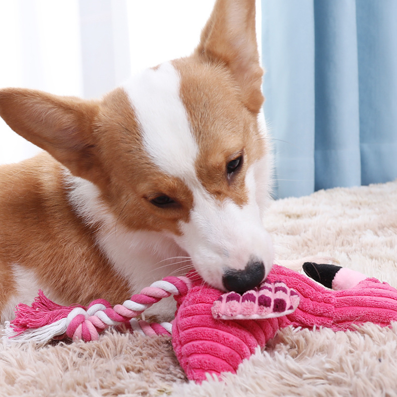 Jouets grinçants en forme d'an - Indestructible Dog Chew Toy avis et prix