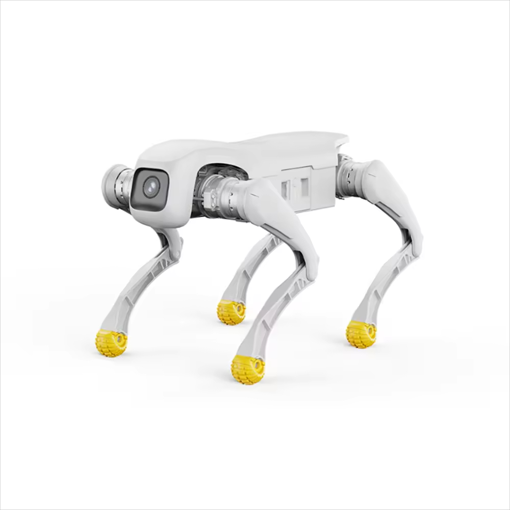 Robot pour chien de conception - Dog Toys avis et prix