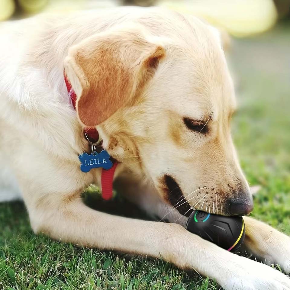 Jouets interactifs intelligent - Automatic Moving Dog Ball avis et prix