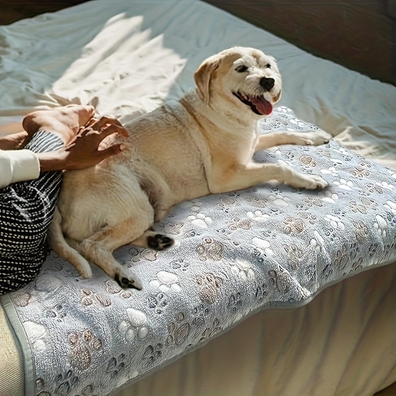 Serviette confortable pour ani - Pet Beds avis et prix