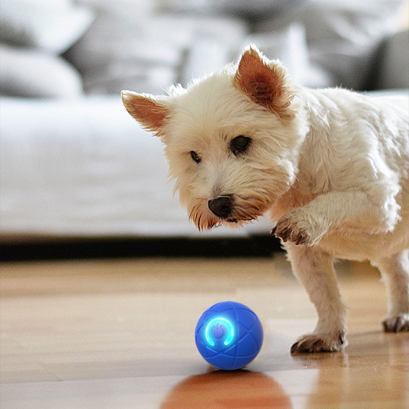Balle intelligente pour chien, - Suction Cup Dog Tug Toy avis et prix