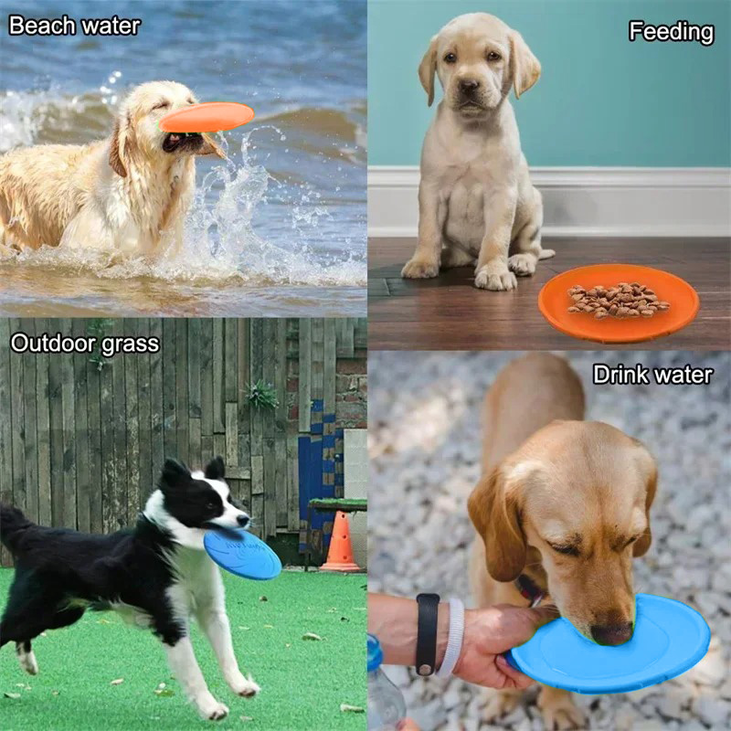 Jouet multicolore pour chien F - Flying Disc Dog Training Toy avis et prix