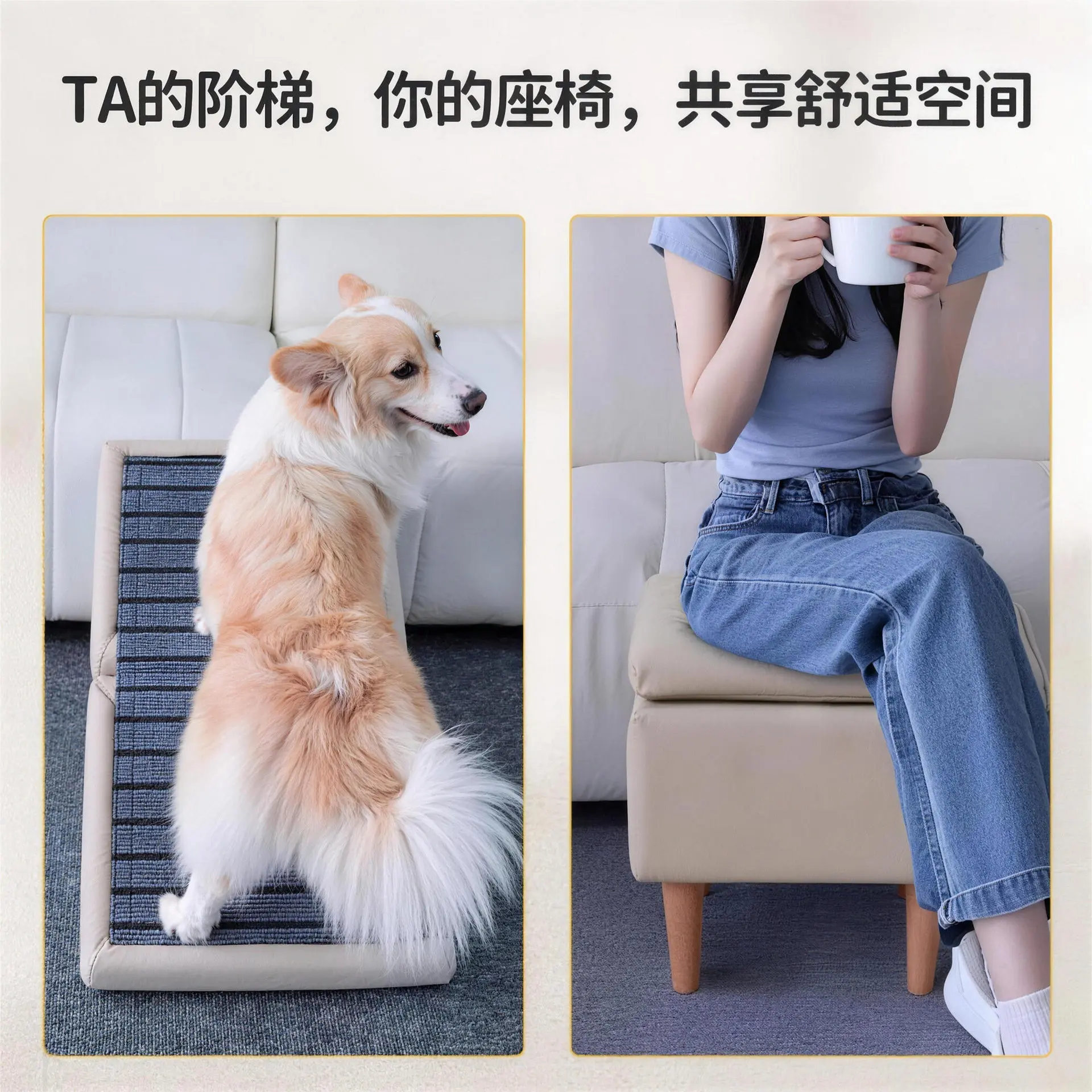 Escalier pour chien, marchepie - Pet Beds avis et prix