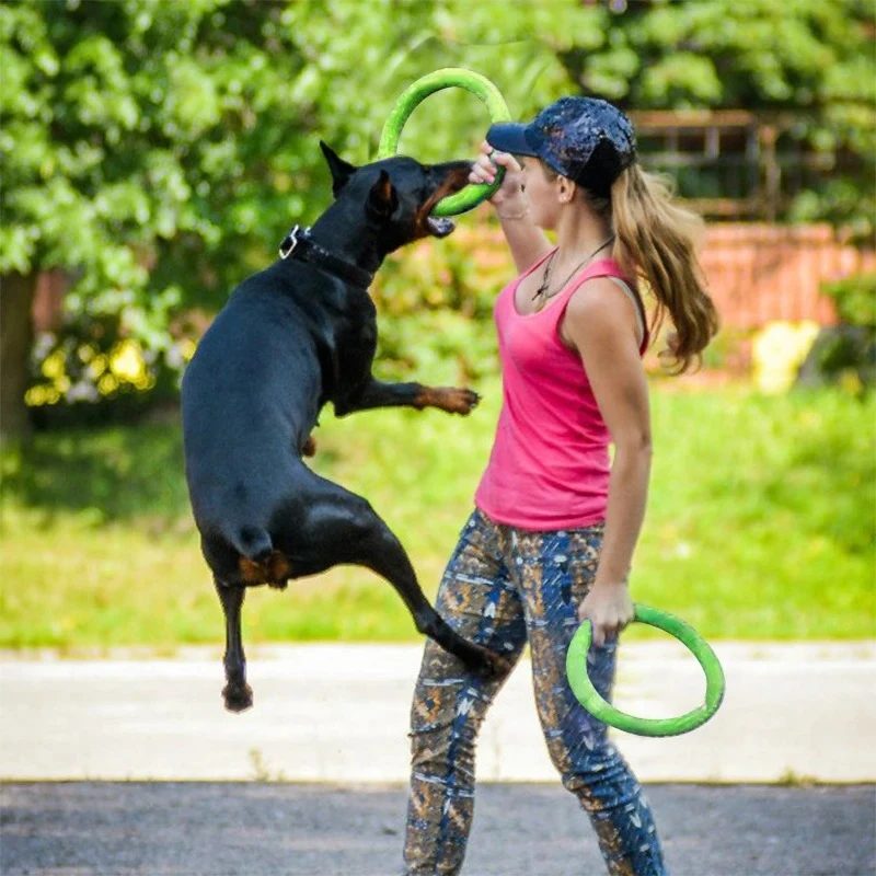 /05/2019 volants OligDog pour  - Suction Cup Dog Tug Toy avis et prix