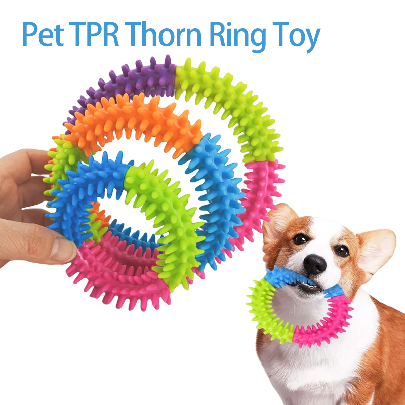 Jouets mignons pour chiens : D - Flying Disc Dog Training Toy avis et prix