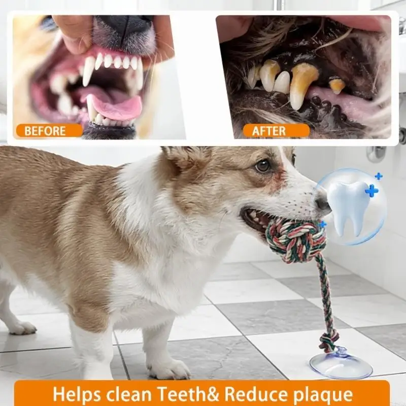Jouet à mâcher amusant sûr pou - Suction Cup Dog Tug Toy avis et prix