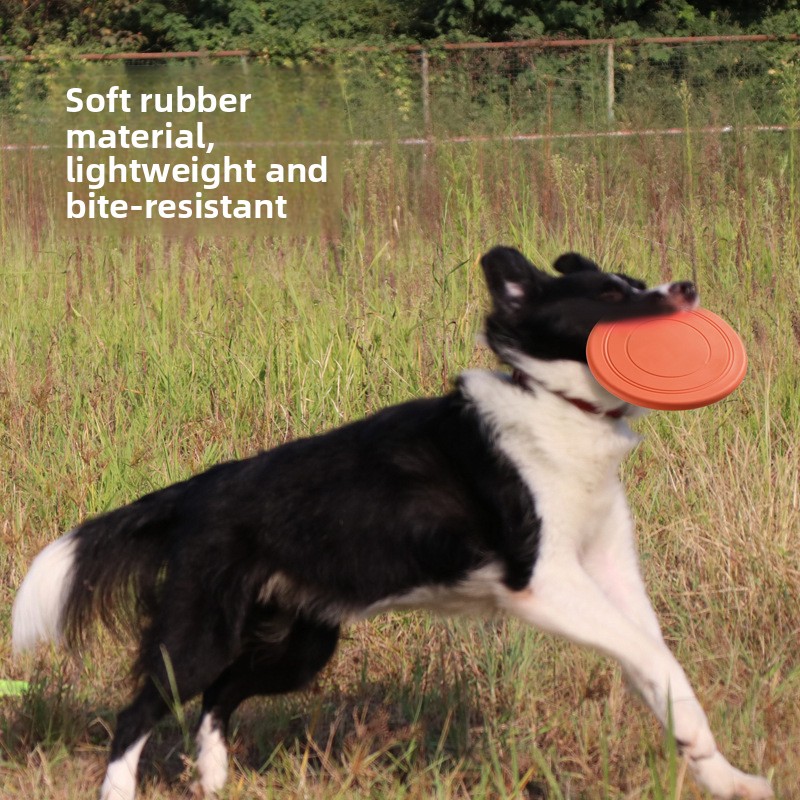 Disque volant pour animaux de  - Flying Disc Dog Training Toy avis et prix