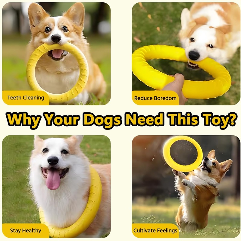 Jouets pour chiens, disques vo - Suction Cup Dog Tug Toy avis et prix