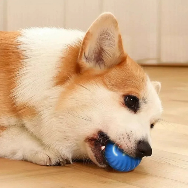 Jouet interactif pour chien, b - Automatic Moving Dog Ball avis et prix