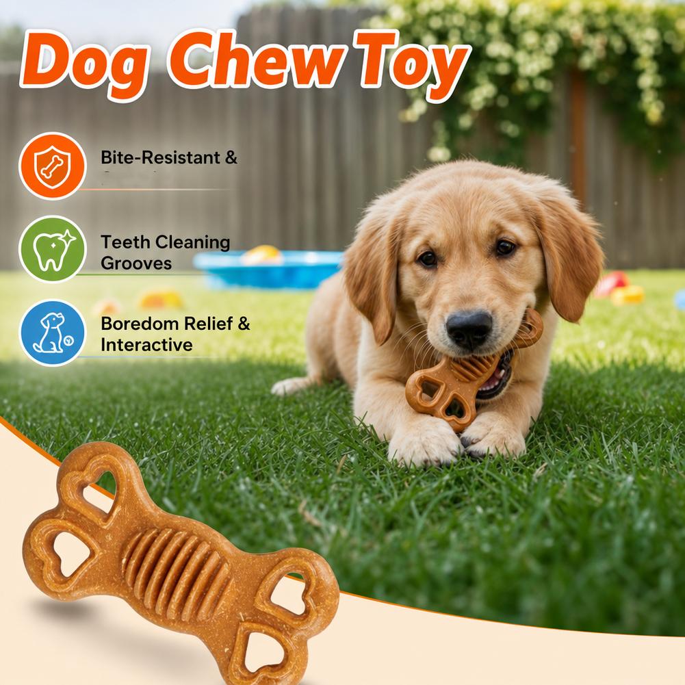 Jouet à mâcher pour chien inde - Teeth Cleaning Dog Chew Bone avis et prix