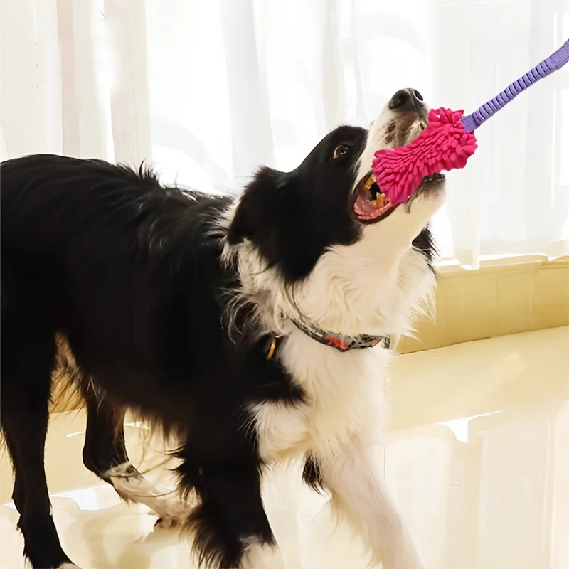 Jouets pour chiens résistants, - Dog Rope Toy Aggressive Chewers avis et prix