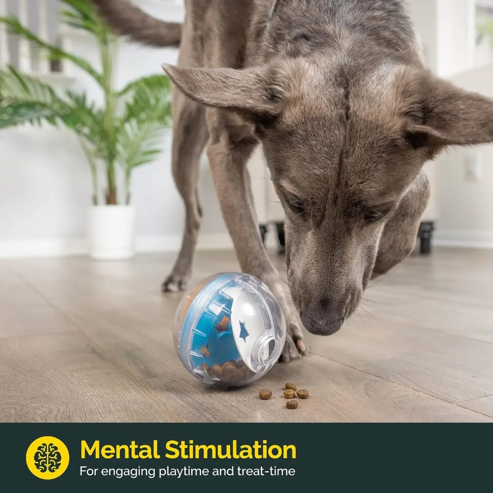 IQ Treat Ball, jouet distribut - Dog Puzzle Feeder Toy avis et prix
